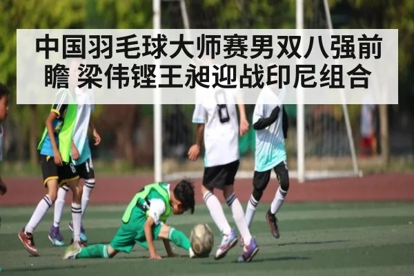 中国羽毛球大师赛男双八强前瞻 梁伟铿王昶迎战印尼组合（NG28）